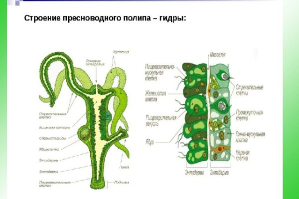 Кракен маркетплейс kr2web in