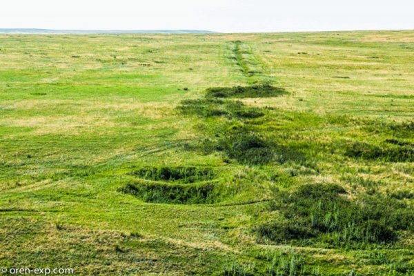 Кракен в россии наркотик